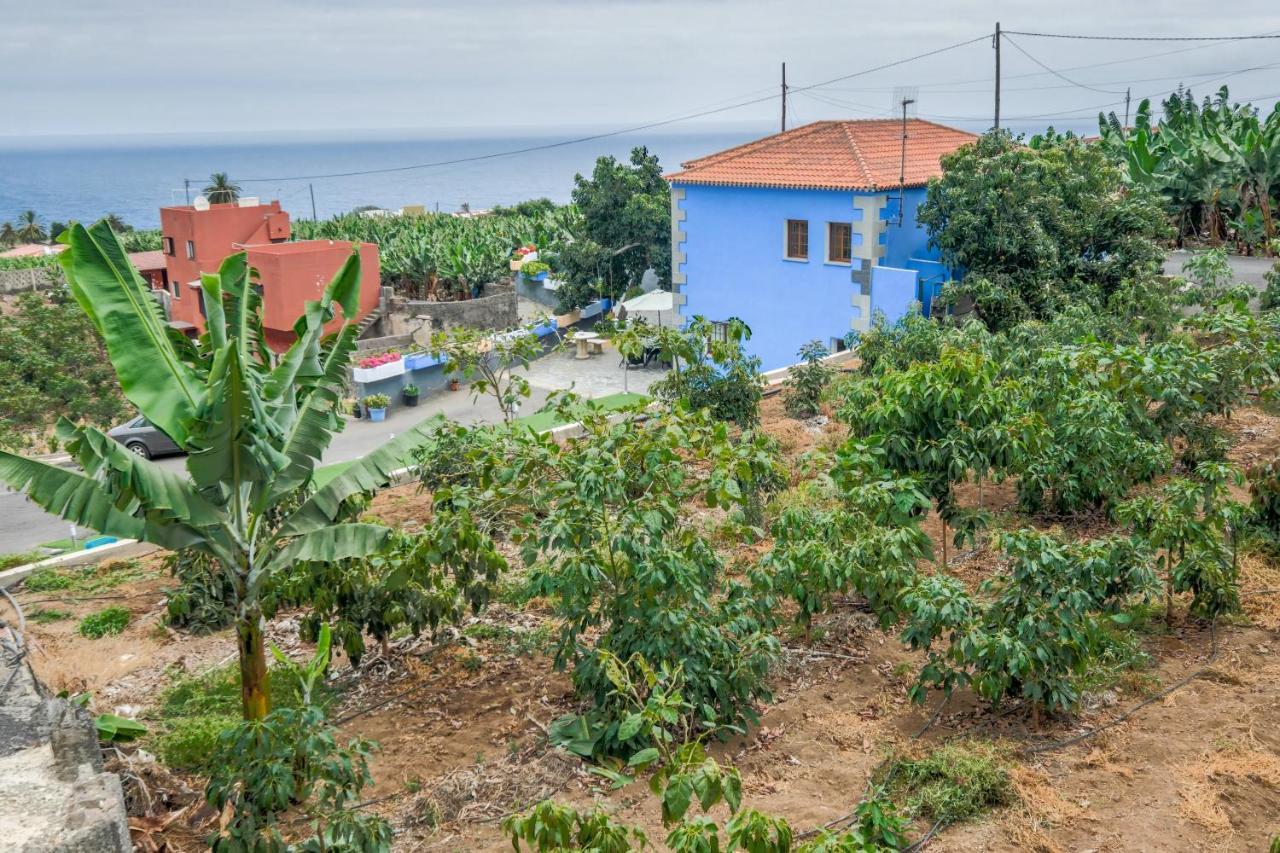 Casa Las Canas อิคอดเดลอสวินอส ภายนอก รูปภาพ
